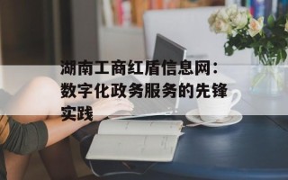 湖南工商红盾信息网：数字化政务服务的先锋实践