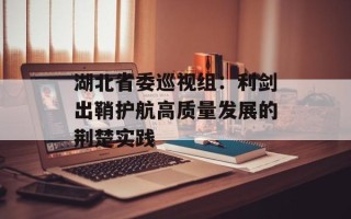 湖北省委巡视组：利剑出鞘护航高质量发展的荆楚实践