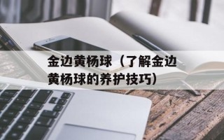 金边黄杨球（了解金边黄杨球的养护技巧）