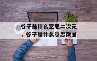 谷子是什么意思二次元，谷子是什么意思饭圈