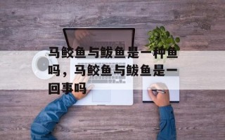 马鲛鱼与鲅鱼是一种鱼吗，马鲛鱼与鲅鱼是一回事吗