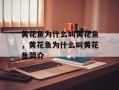 黄花鱼为什么叫黄花鱼，黄花鱼为什么叫黄花鱼简介