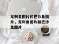 龙利鱼图片和巴沙鱼图片，龙利鱼图片和巴沙鱼图片