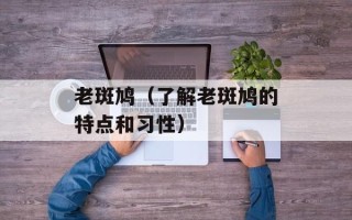 老斑鸠（了解老斑鸠的特点和习性）