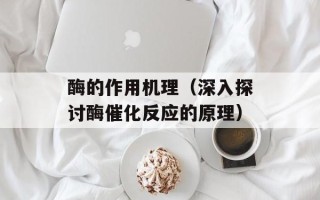 酶的作用机理（深入探讨酶催化反应的原理）