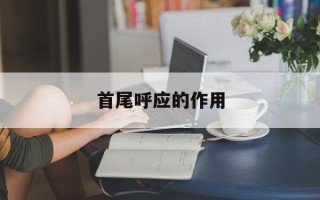 首尾呼应的作用