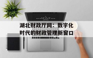湖北财政厅网：数字化时代的财政管理新窗口