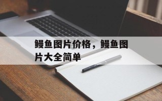 鳗鱼图片价格，鳗鱼图片大全简单