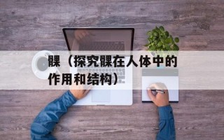 髁（探究髁在人体中的作用和结构）