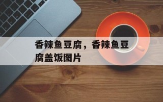 香辣鱼豆腐，香辣鱼豆腐盖饭图片