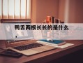 鸭舌两根长长的是什么，