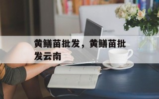 黄鳝苗批发，黄鳝苗批发云南
