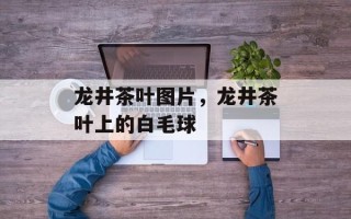 龙井茶叶图片，龙井茶叶上的白毛球