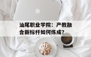 汕尾职业学院：产教融合新标杆如何炼成？