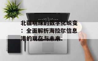 北疆明珠的数字化蜕变：全面解析海拉尔信息港的现在与未来