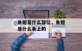 鱼翅是什么部位，鱼翅是什么鱼上的