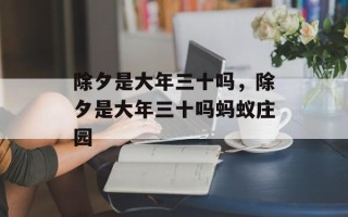 除夕是大年三十吗，除夕是大年三十吗蚂蚁庄园