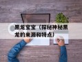 黑龙宝宝（探秘神秘黑龙的来源和特点）