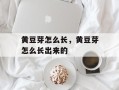 黄豆芽怎么长，黄豆芽怎么长出来的