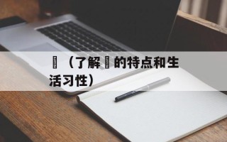 鲗（了解鲗的特点和生活习性）