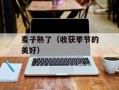 麦子熟了（收获季节的美好）