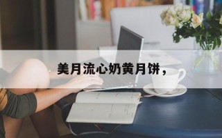 美月流心奶黄月饼，