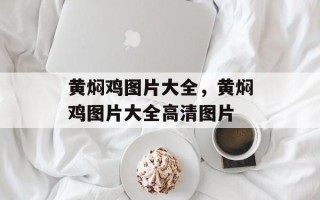 黄焖鸡图片大全，黄焖鸡图片大全高清图片
