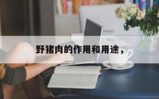 野猪肉的作用和用途，