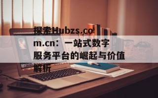 探索Hubzs.com.cn：一站式数字服务平台的崛起与价值解析