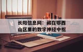 长阳信息网：藏在鄂西山区里的数字神经中枢