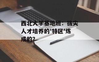 西北大学基地班：拔尖人才培养的'特区'炼成的？