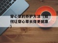 穿心草的养护方法（如何让穿心草长得更健康）