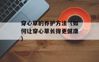 穿心草的养护方法（如何让穿心草长得更健康）