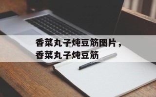 香菜丸子炖豆筋图片，香菜丸子炖豆筋