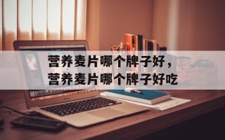 营养麦片哪个牌子好，营养麦片哪个牌子好吃