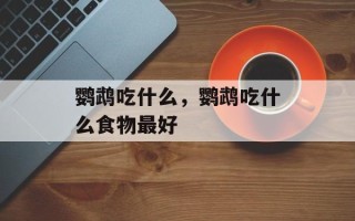 鹦鹉吃什么，鹦鹉吃什么食物最好