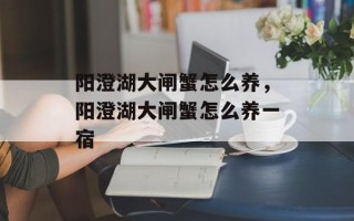 阳澄湖大闸蟹怎么养，阳澄湖大闸蟹怎么养一宿