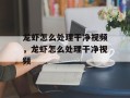 龙虾怎么处理干净视频，龙虾怎么处理干净视频