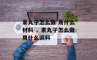 素丸子怎么做 用什么材料 ，素丸子怎么做用什么调料