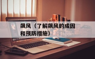 飙风（了解飙风的成因和预防措施）