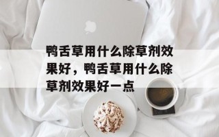 鸭舌草用什么除草剂效果好，鸭舌草用什么除草剂效果好一点
