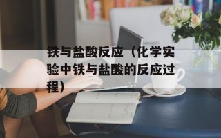 铁与盐酸反应（化学实验中铁与盐酸的反应过程）