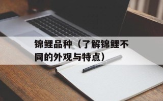 锦鲤品种（了解锦鲤不同的外观与特点）