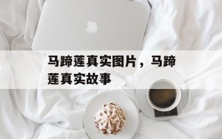 马蹄莲真实图片，马蹄莲真实故事