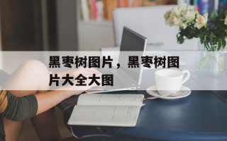 黑枣树图片，黑枣树图片大全大图