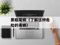 黑粗尾蝎（了解这种危险的毒蝎）