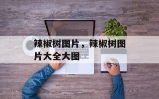 辣椒树图片，辣椒树图片大全大图