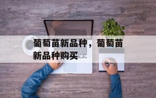 葡萄苗新品种，葡萄苗新品种购买