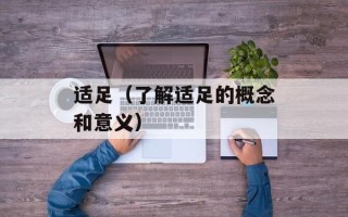 适足（了解适足的概念和意义）