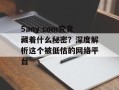 5any com究竟藏着什么秘密？深度解析这个被低估的网络平台